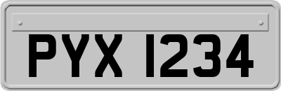 PYX1234
