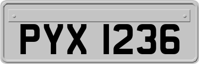 PYX1236