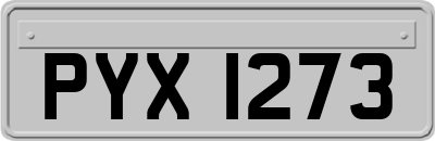 PYX1273