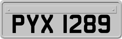 PYX1289
