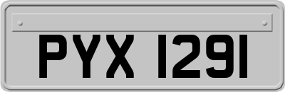 PYX1291