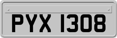 PYX1308