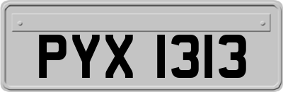 PYX1313