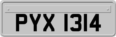 PYX1314