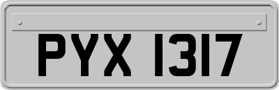 PYX1317