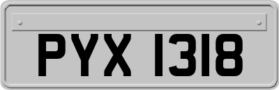 PYX1318