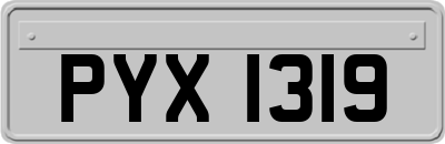 PYX1319
