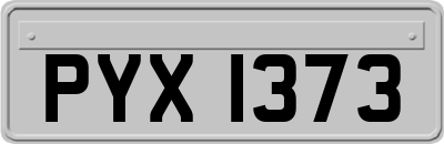 PYX1373