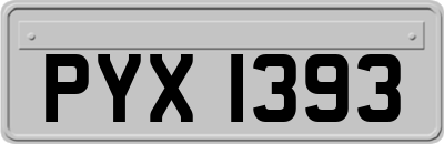 PYX1393