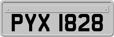 PYX1828
