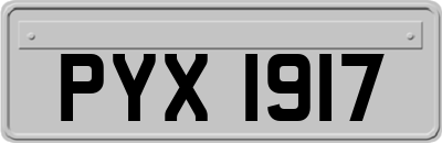 PYX1917