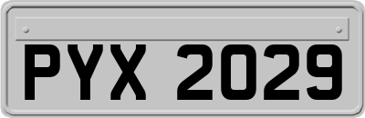 PYX2029
