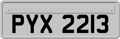 PYX2213