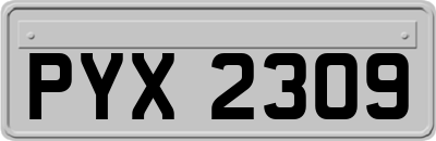 PYX2309