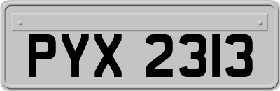PYX2313