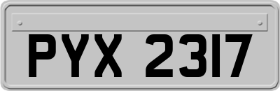 PYX2317