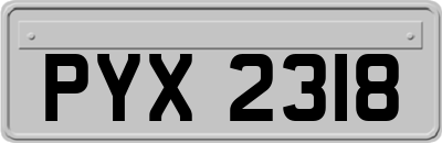 PYX2318