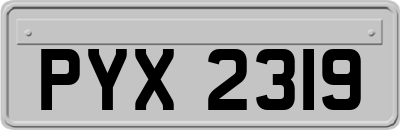 PYX2319