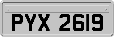 PYX2619