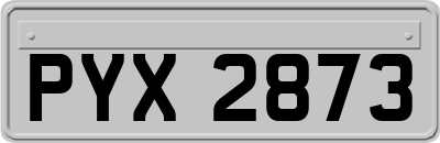 PYX2873