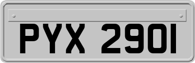 PYX2901