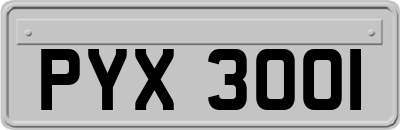PYX3001