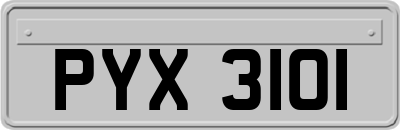 PYX3101