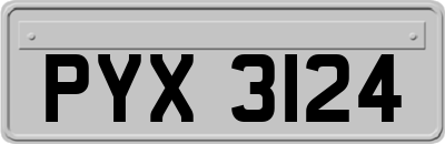 PYX3124