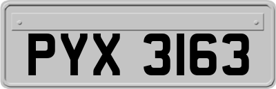 PYX3163