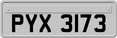 PYX3173