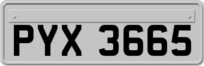 PYX3665