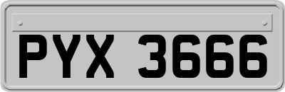 PYX3666