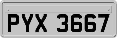 PYX3667