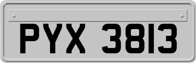 PYX3813