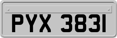 PYX3831