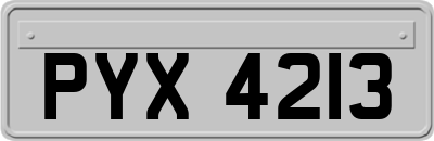 PYX4213