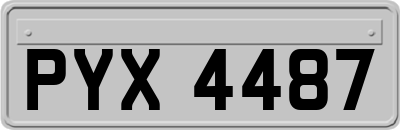 PYX4487