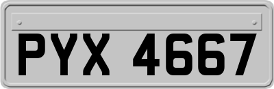 PYX4667