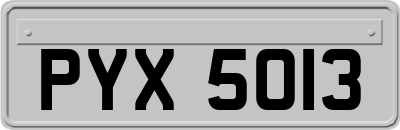 PYX5013
