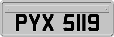 PYX5119