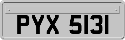 PYX5131
