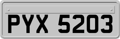 PYX5203