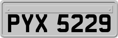 PYX5229
