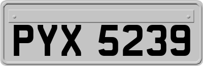 PYX5239