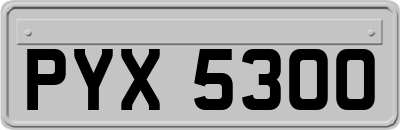 PYX5300