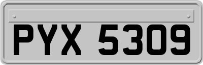PYX5309