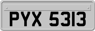 PYX5313