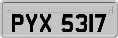 PYX5317