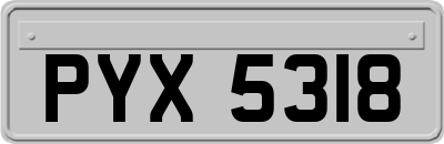 PYX5318