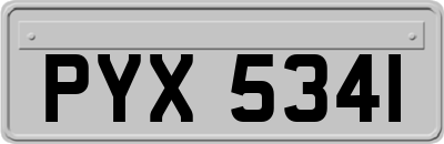 PYX5341